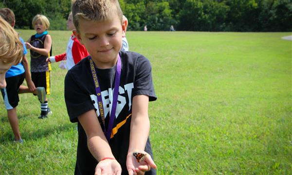 Boy holds up butterfly